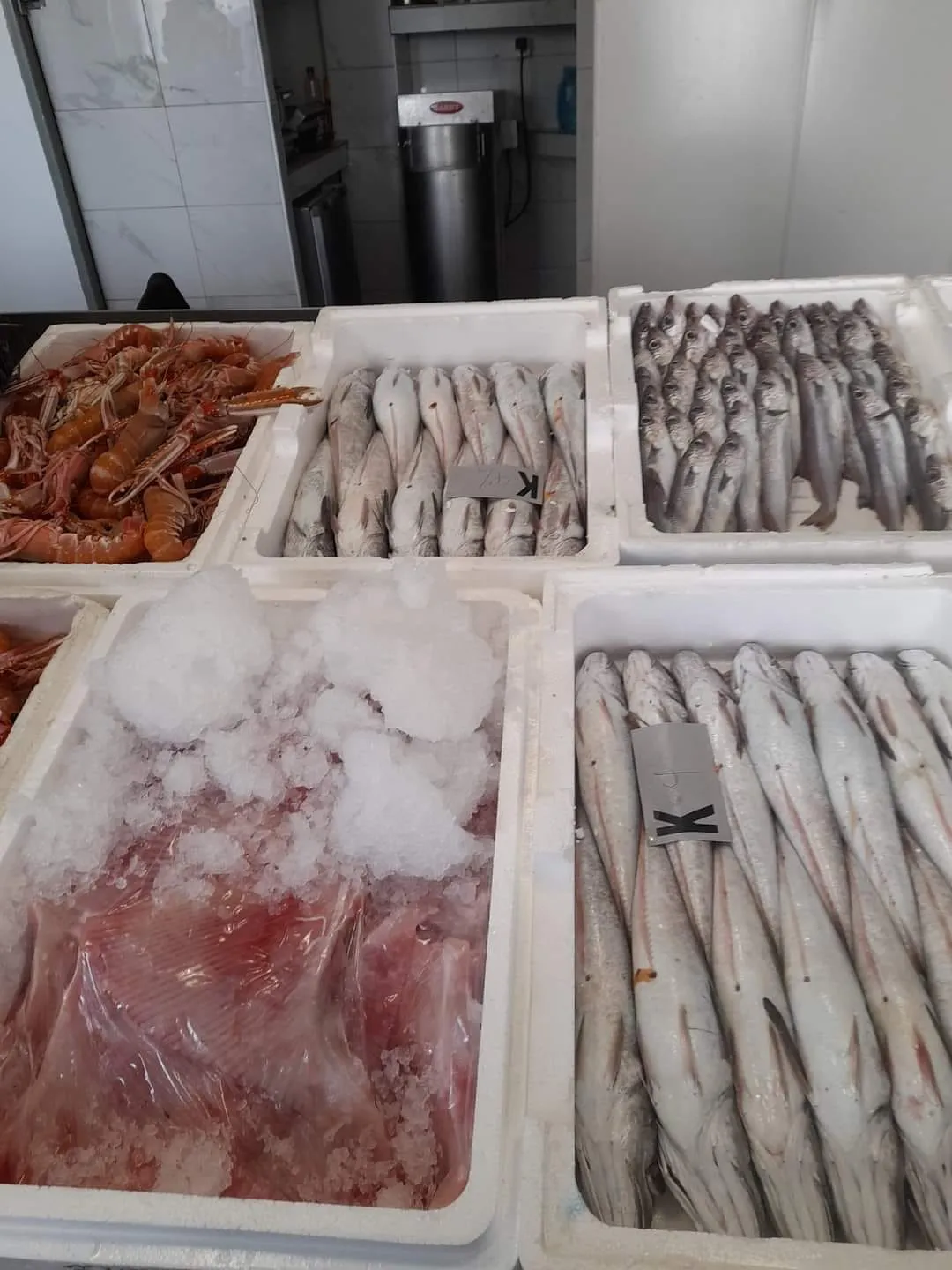 Daily fresh catch of the day from Aegean Sea at Skiathos Fish Market